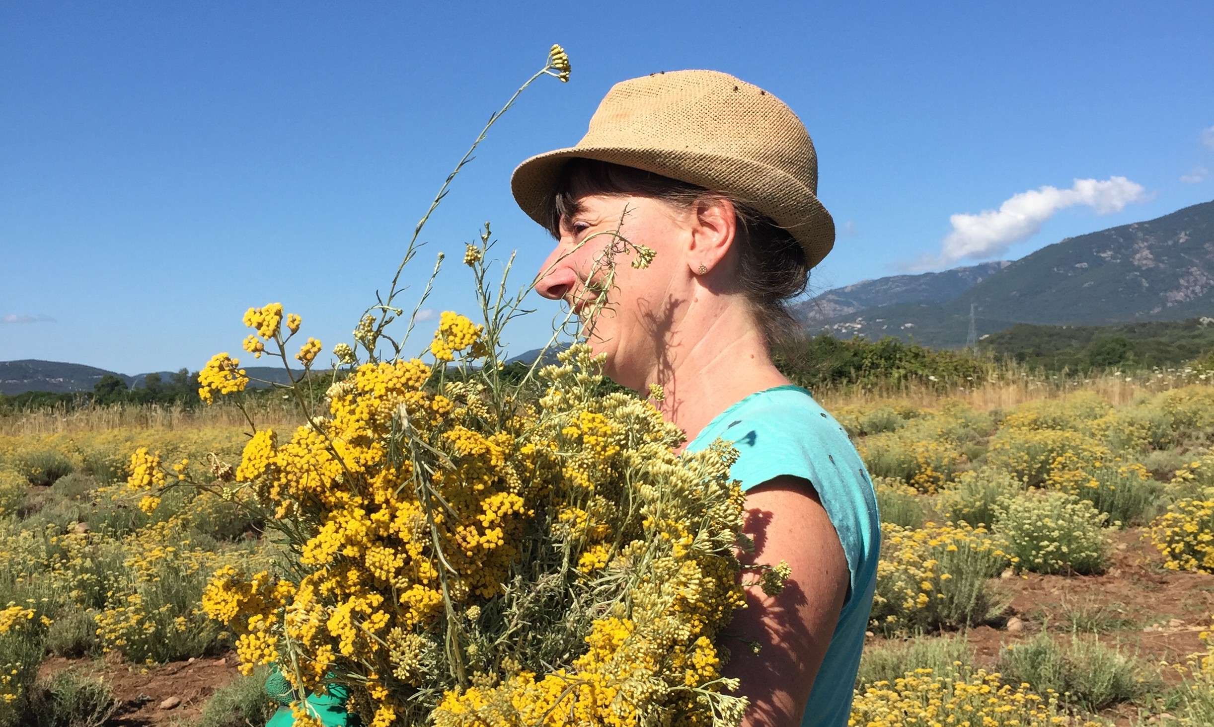 Savons saponifiés à froid et Huiles de soins aux plantes