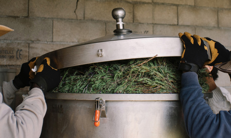 Savons saponifiés à froid et Huiles de soins aux plantes