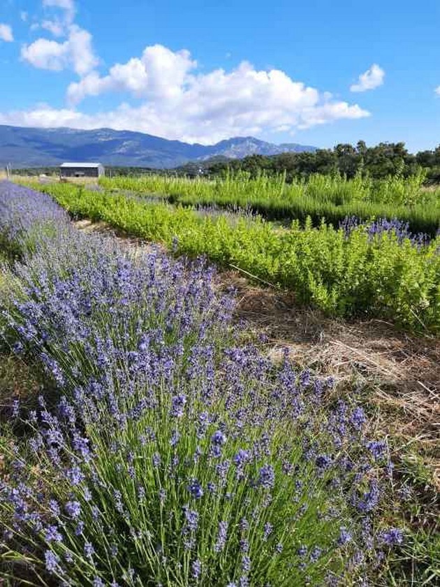 CHOUCHOUTEZ VOTRE PEAU AVEC LA NATURE